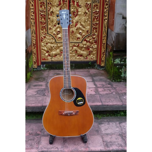 gitar cort