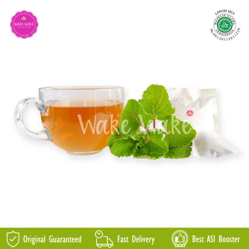 ASI Booster Torbangun - Wake Wake Tea (Daun bangun bangun) - 10 Sachet