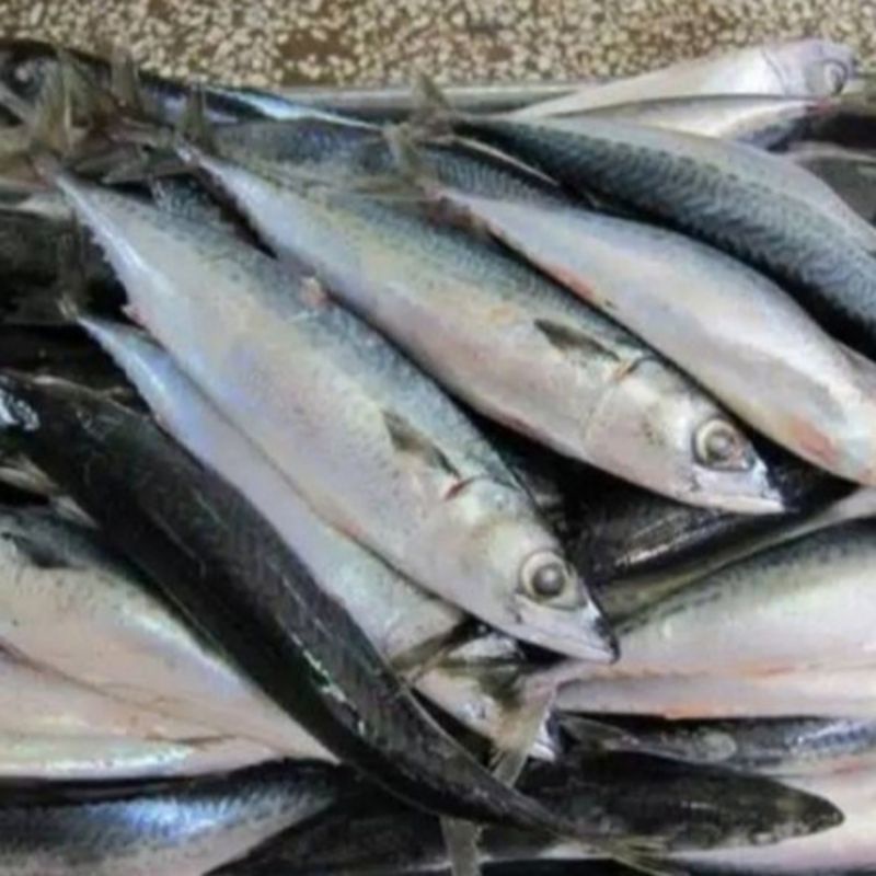 

Kembung Salem 500g