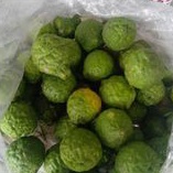 

Jeruk Purut