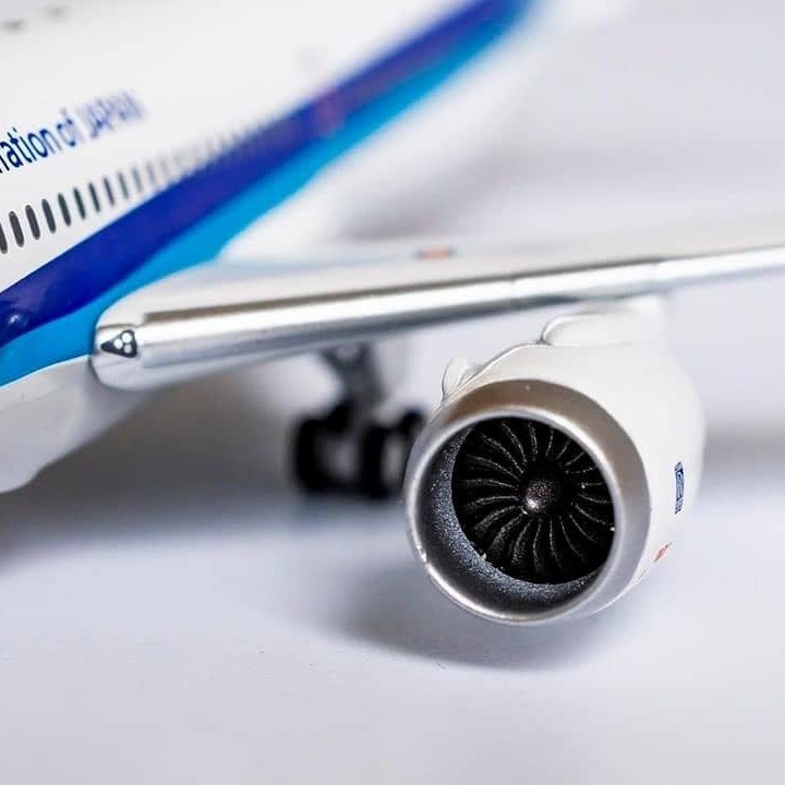 ANA B787-10 JA901A 航空機 | thephysicaleducator.com