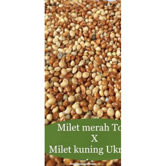 Millet campur premium 125 gram kemasan plastik