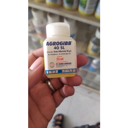 Zat Pengatur Tumbuh Agrogibb 40SL Giberelin acid 40%