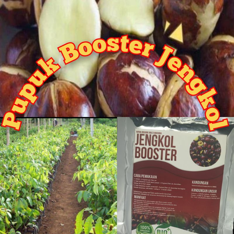 Pupuk booster JengkolMurah Pupuk booster buah organik non kimia pupuk cair kilat npk urea merah pele