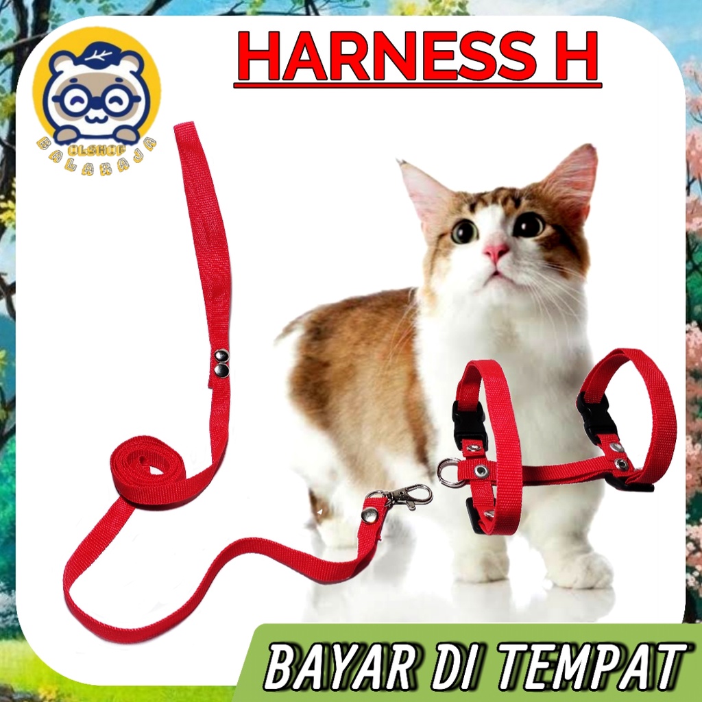 Harnes H + Tali Tuntun 1 Set Model H Polos Kucing Kiten Kelinci Musang Anjing Kecil Ready Semua Warna