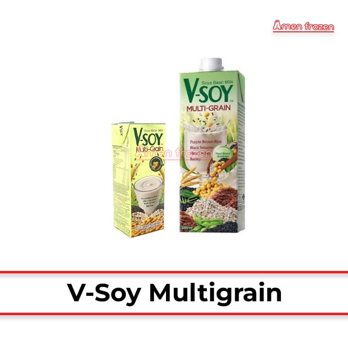 

V SOY MULTIGRAIN