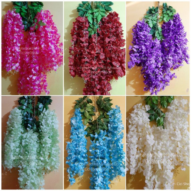 wisteria gantung/bunga wisteria rambat/bunga rambat/tanaman rambat/bunga wisteria/bunga gantung