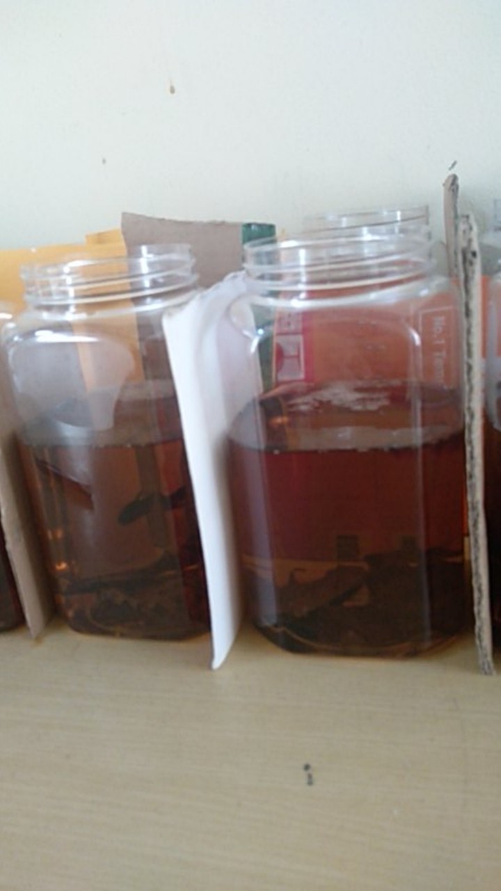 Toples Cupang Tanpa Tutup Uk 2 Liter Isi 30pcs