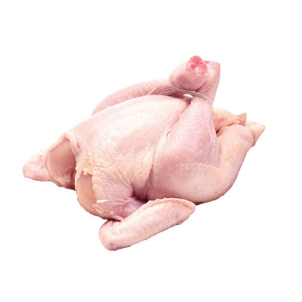 

Ayam Broiler Uk 08 09 Pcs 800 Gr ATY1