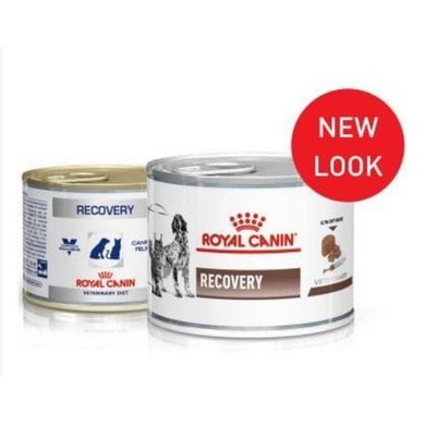 ROYAL CANIN RECOVERY 195GR/MAKANAN PEMULIHAN/MAKANAN KETIKA KRITIS