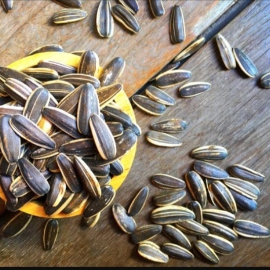 

Biji kuaci matahari 250gr