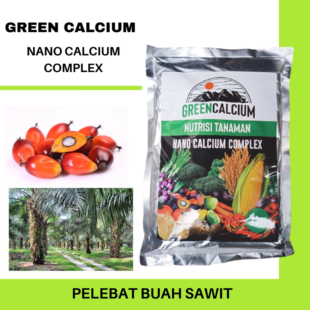 Pupuk Buah Sawit Boster Green Calcium, READY STOK, Pupuk Kalsium Terbaik Pelebat Sawit