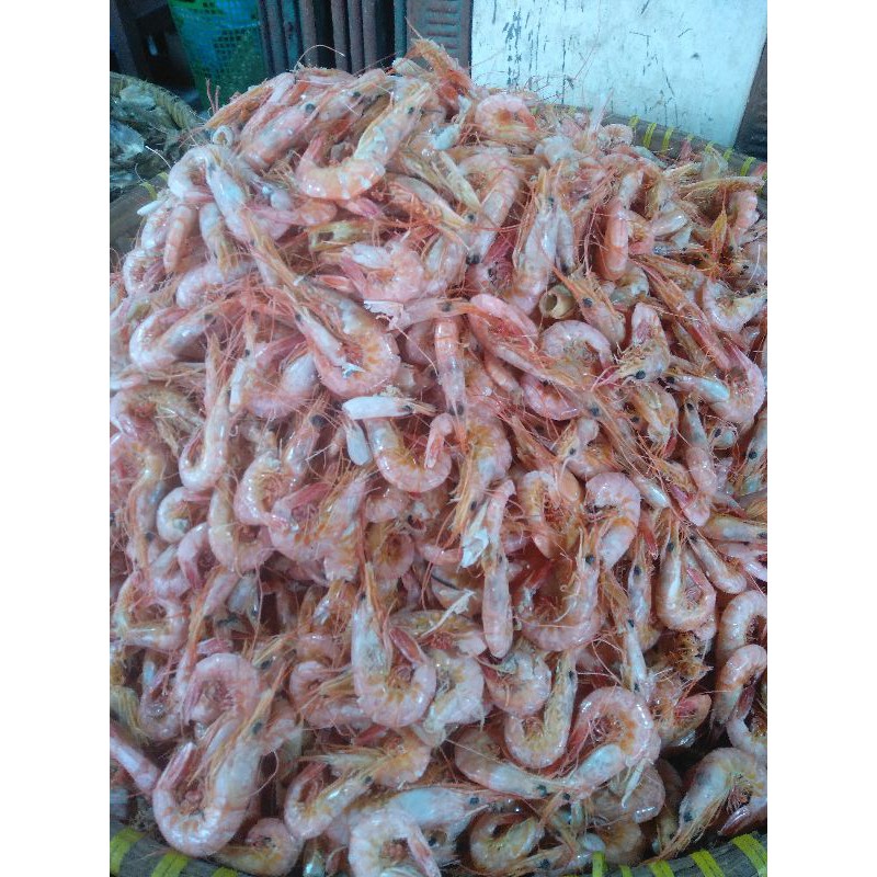 

Udang Kering 250g