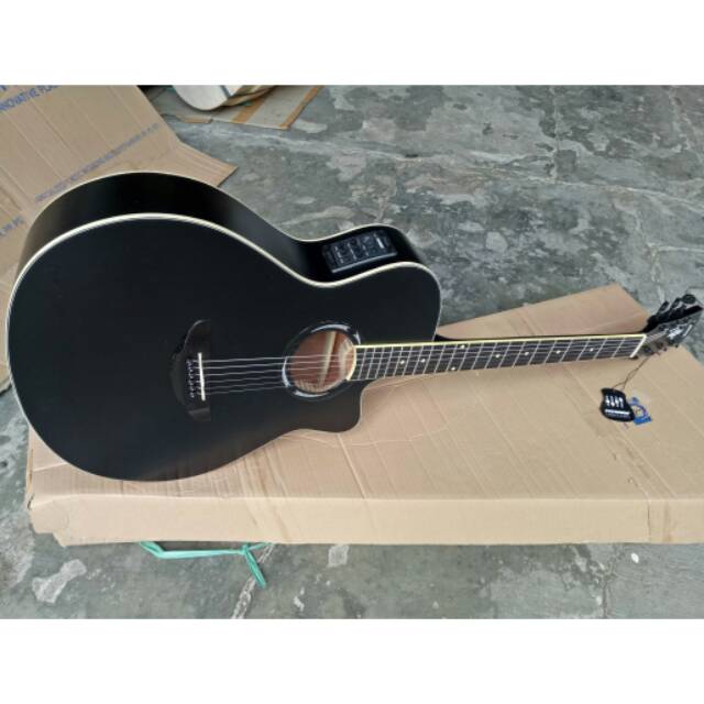 Promo Gitar apx equaliser fishman mantap
