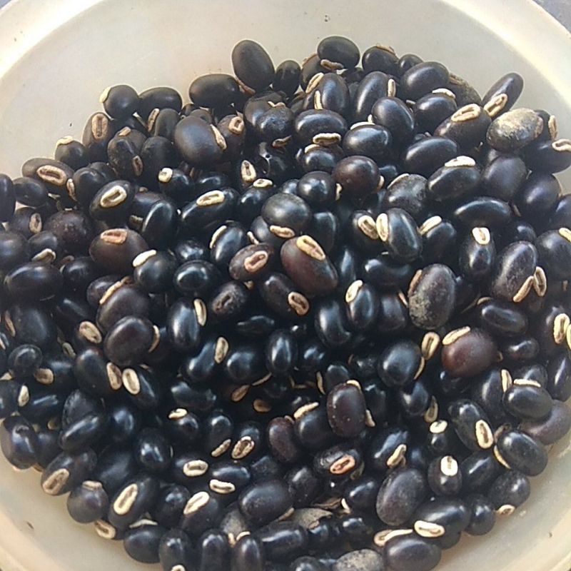 

Kacang / Koro Benguk Hitam pilihan 500gr