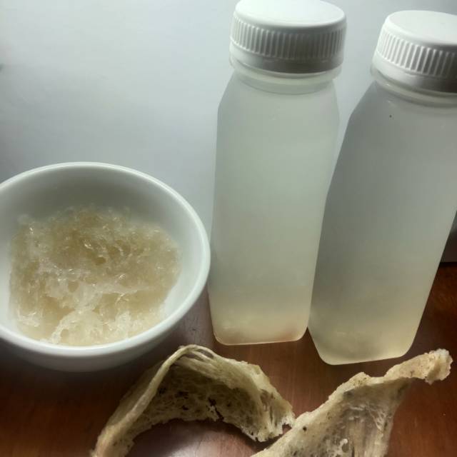 

Minuman Sarang Burung Walet