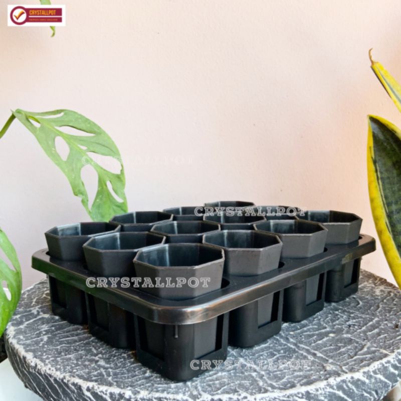 1 set Tray + POT BUNGA NKT PAGODA MINI 5CM HITAM | tray semai bibit