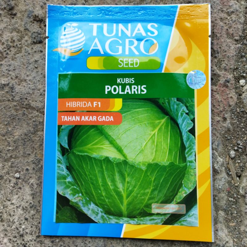 BENIH KUBIS POLARIS 20 GRAM