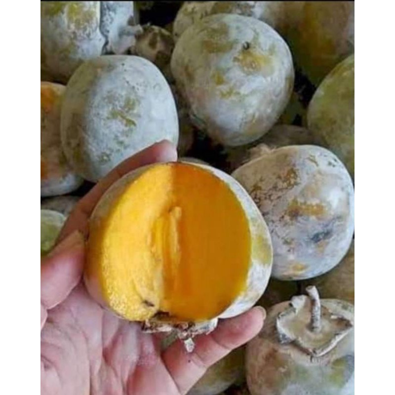 

Buah kesemek per 1 kg