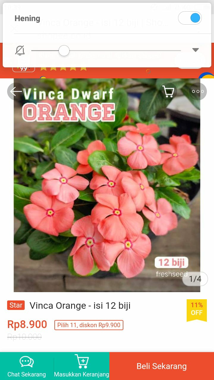 Cabe Rawit Pedas - 15 Benih