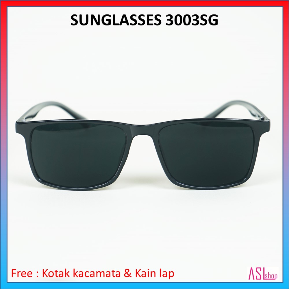 SUNGLASSES 3003SG