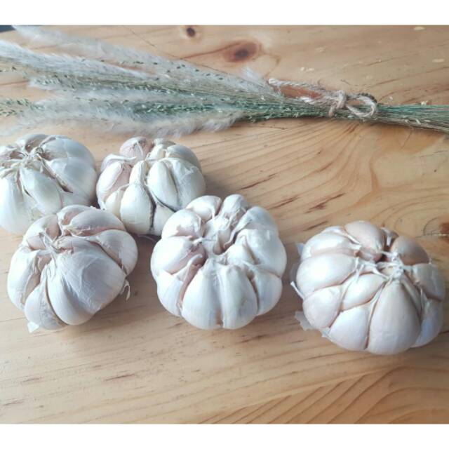 

Bawang putih biasa per 1kg