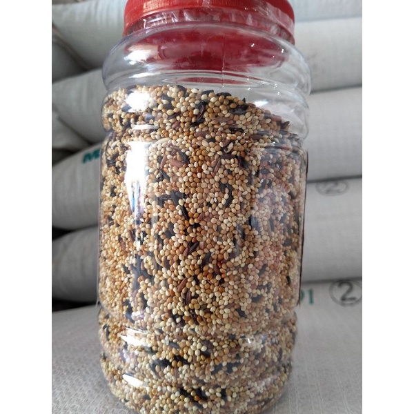 RAMUAN ASLI MADURA - Sinar Mas