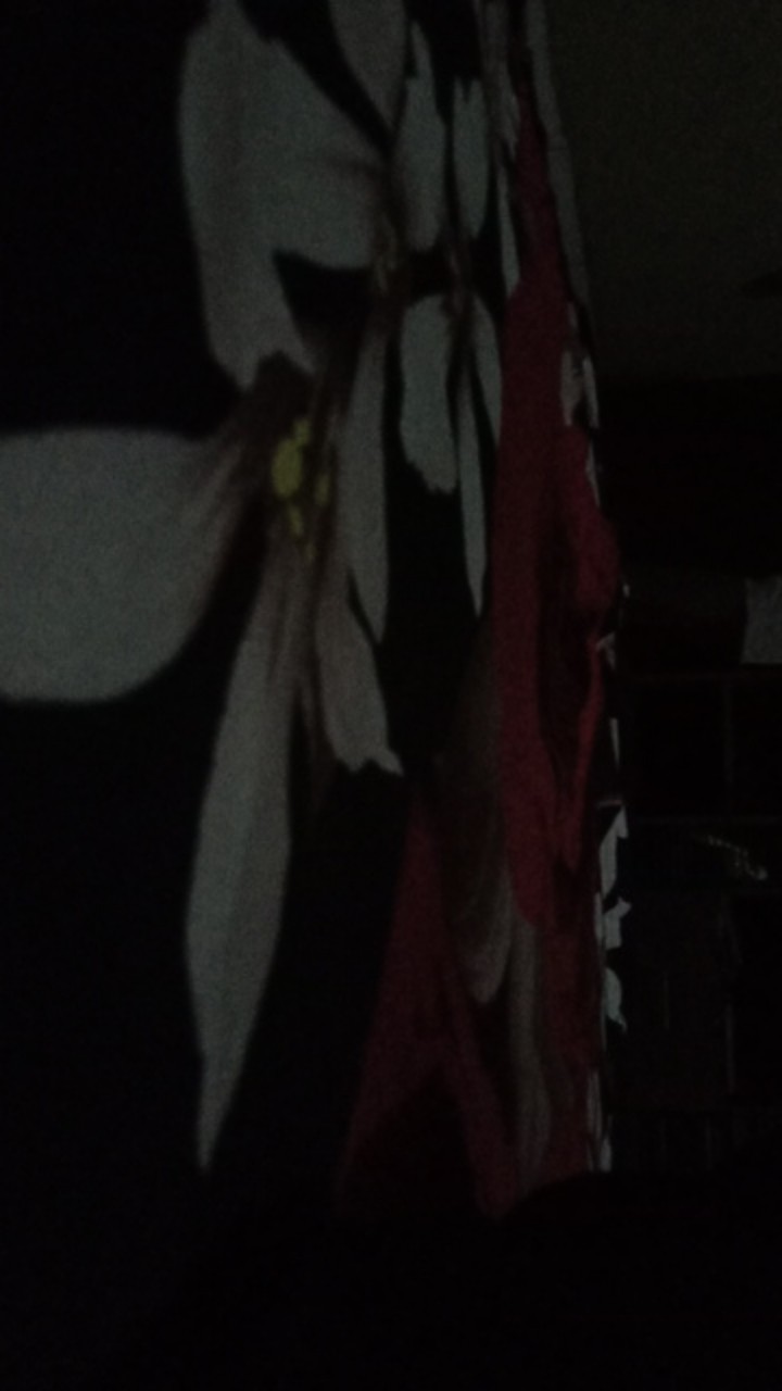 Sprei Monalisa Premium Doraemon