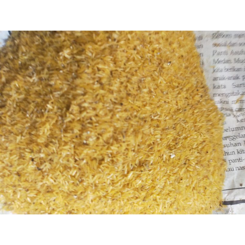 telur jangkrik madu kuning /putih 1 kg