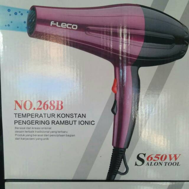 Hair Dryer Fleco