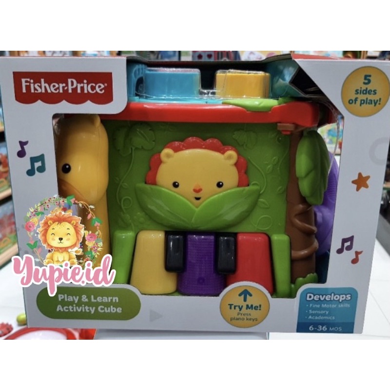 fisher price play and learn activity cube
