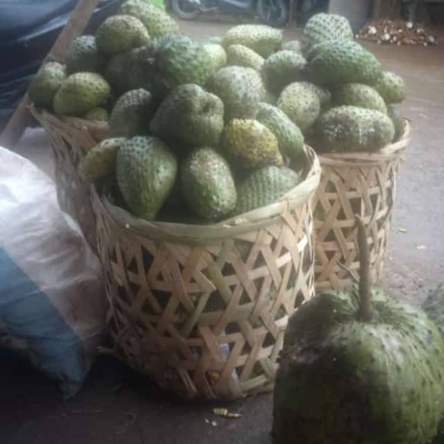 

Buah sirsak segar 1kg