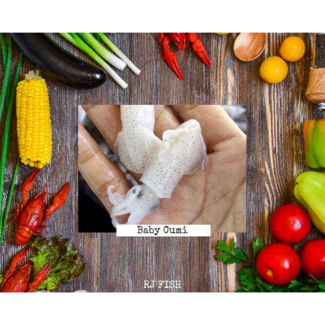 

Baby Cumi Fresh Frozen Seafood Rj Fish 1 Kg