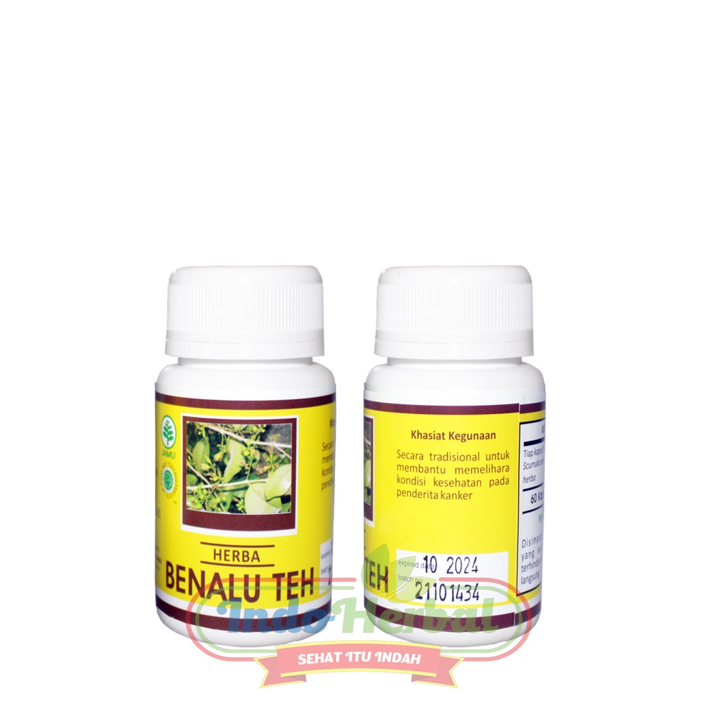 HERBAL TEH HIU BENALU OBAT KANKER | TUMOR ASLI 60 Kapsul