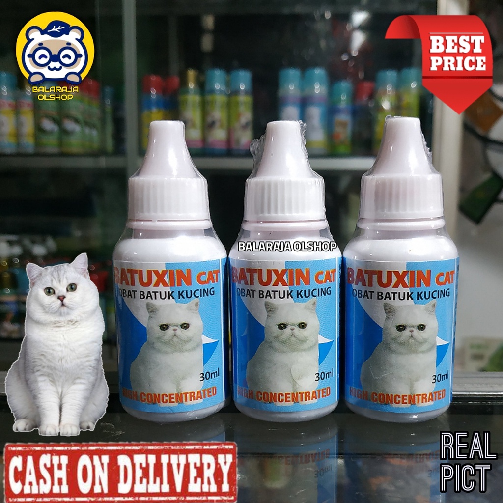 Obat Batuk Kucing Sakit Flu Pilek Batuxin Cat