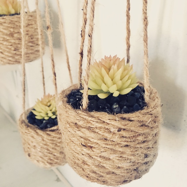 Pot tanaman / pot gantung / pot rami / pot kaktus / pot sukulen