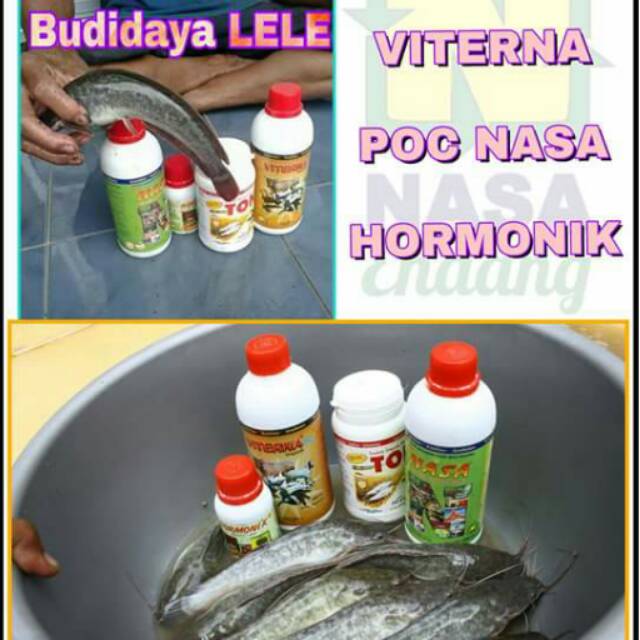 Produk Nasa
