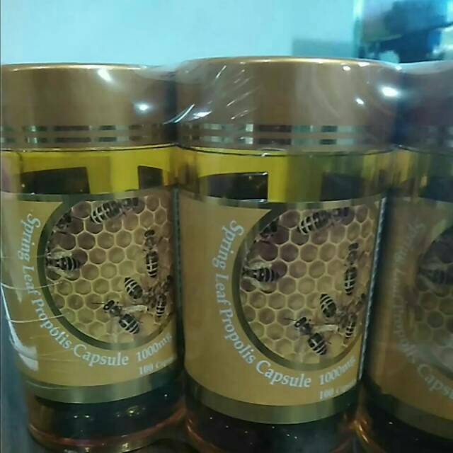 PROPOLIS KAPSUL SPRINGLEAF