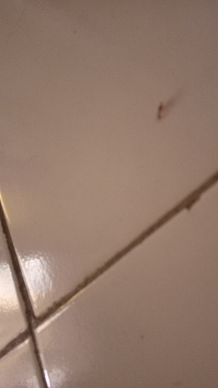 Pollybag Plastik Hitam