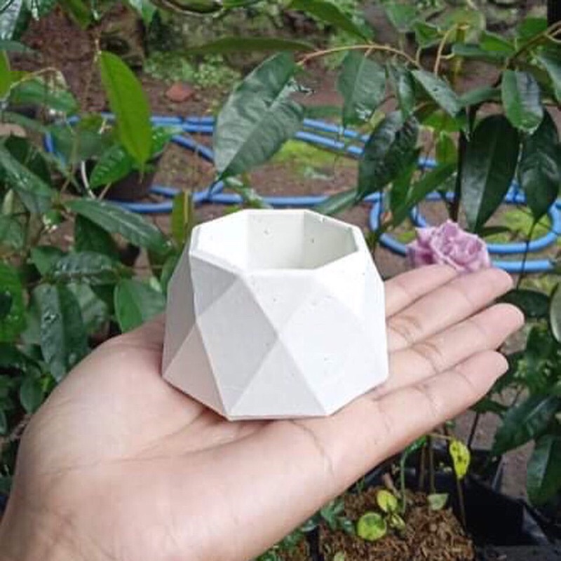 pot kaktus sekulen/pot semen