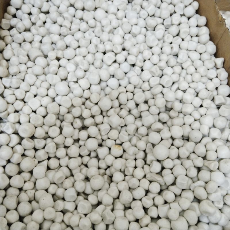 Batu tidar borongan 100 batu tidar