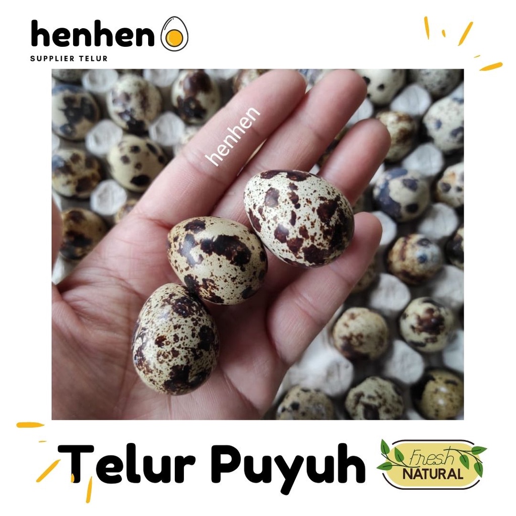 

TELUR PUYUH Per ikat 10 kg READY STOCK