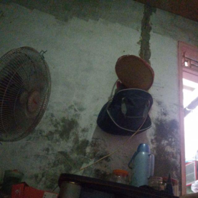 P5l Yesello Payung Lipat Jepang Motif Transparan Cherry Blossom - E023 - Blue