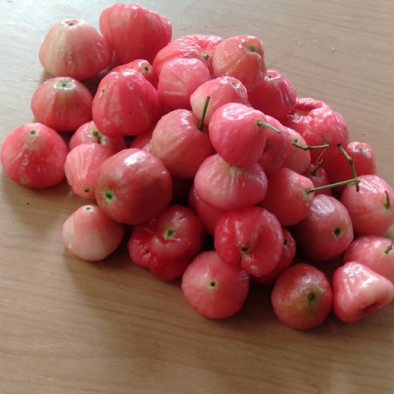 

Jambu air merah rujak berat 1 kg