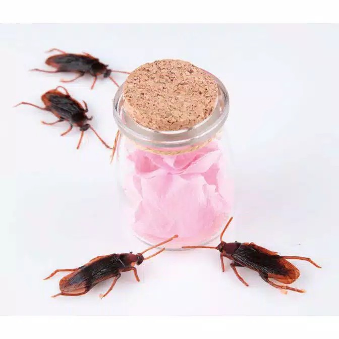 Kecoa Palsu Kecoak Mainan Mirip Asli untuk prank cockroach Toys gag
