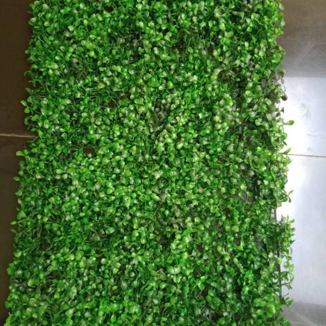 Tanaman Sintetis Daun Dolar Dolaran Hijau Daun Sintetis