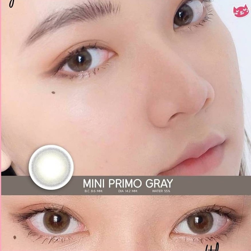 softlens MINI PRIMO by KITTY KAWAII gray brown normal minus