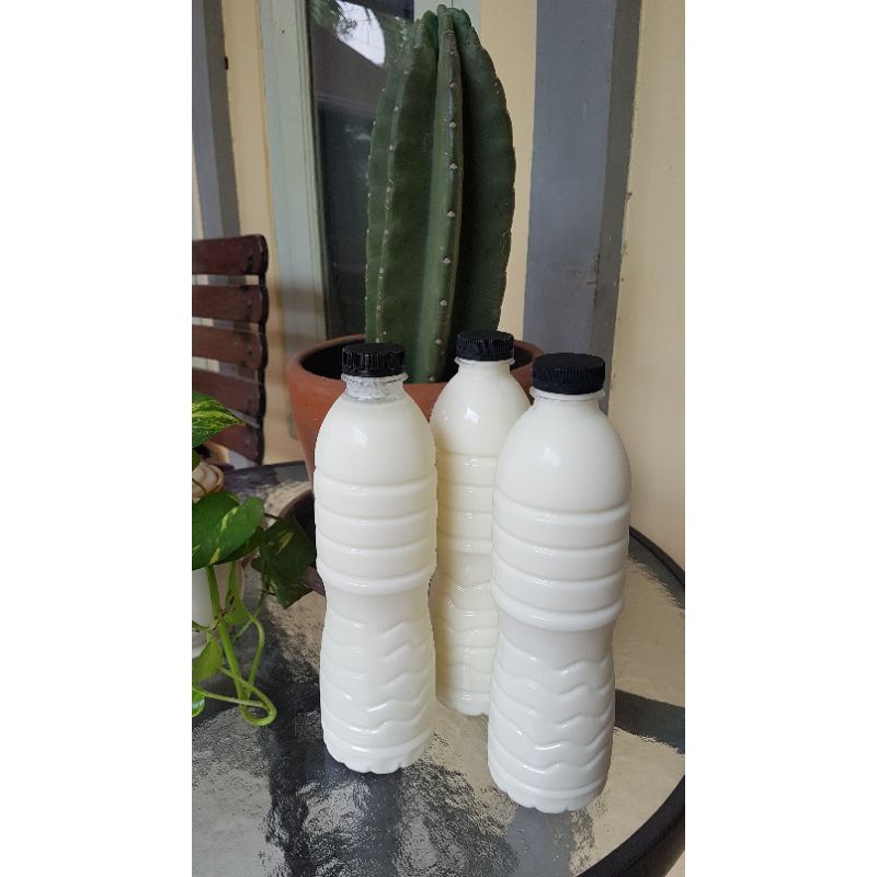 

Susu Kefir (sapi) 600ml