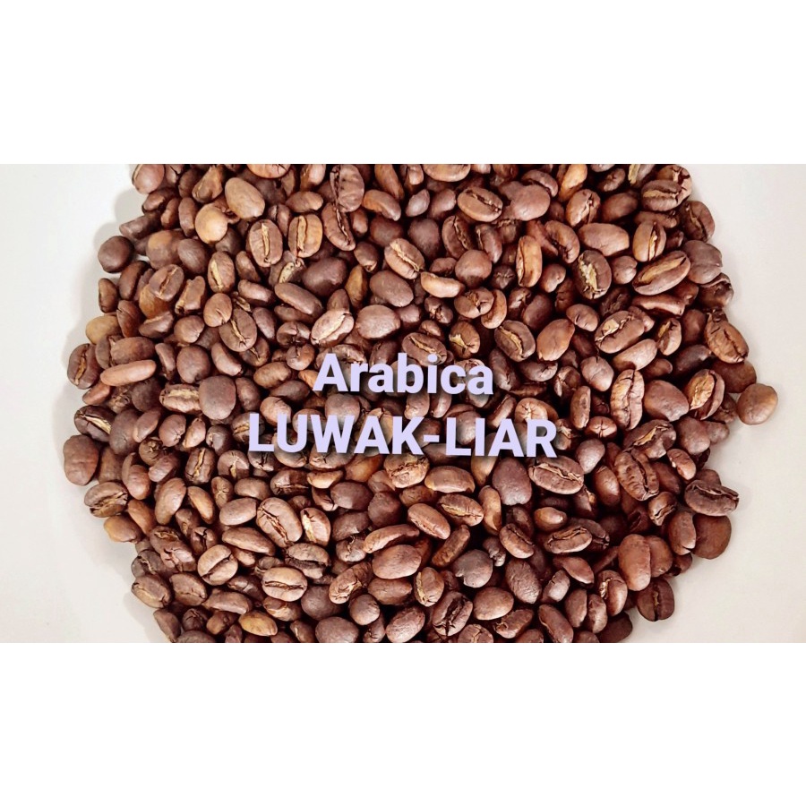 

Arabica Luwak Liar Asli