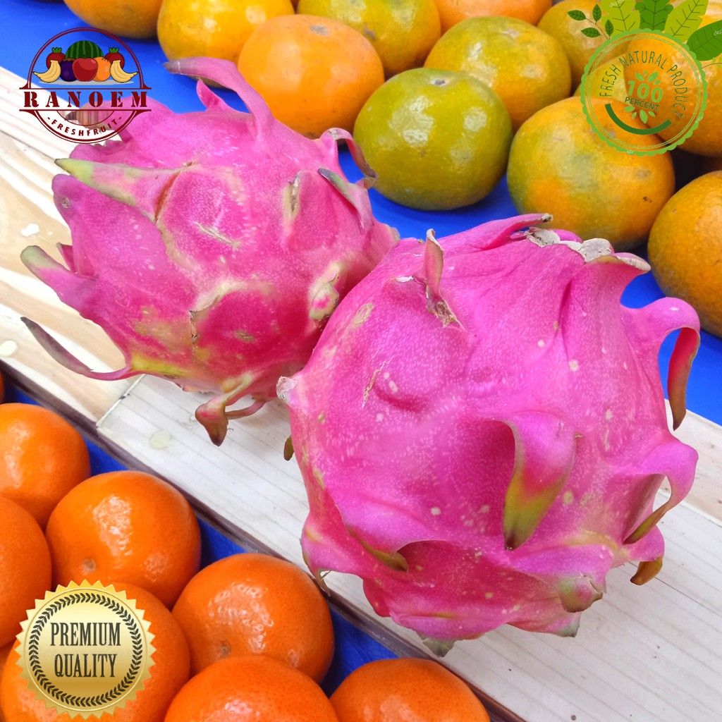

Buah Naga Merah 1kg